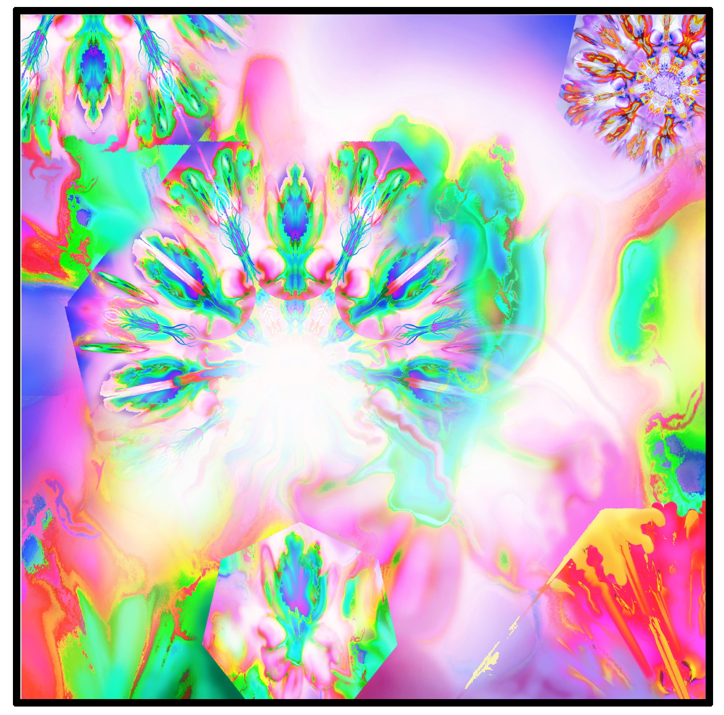 NL- NUM 018